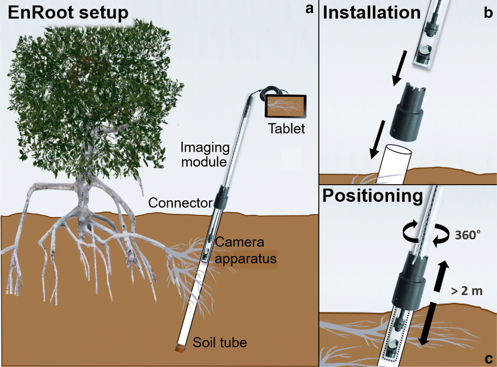 Fig. 2