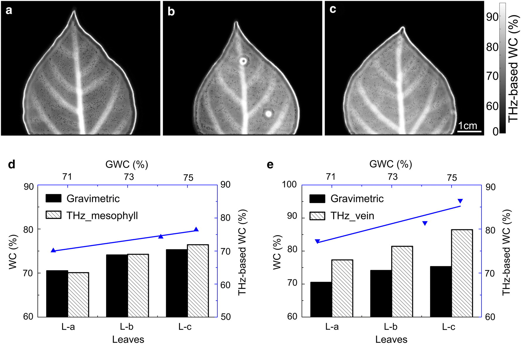 Fig. 6