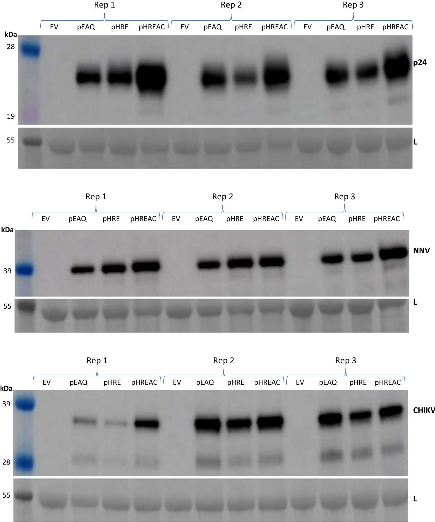 Fig. 6