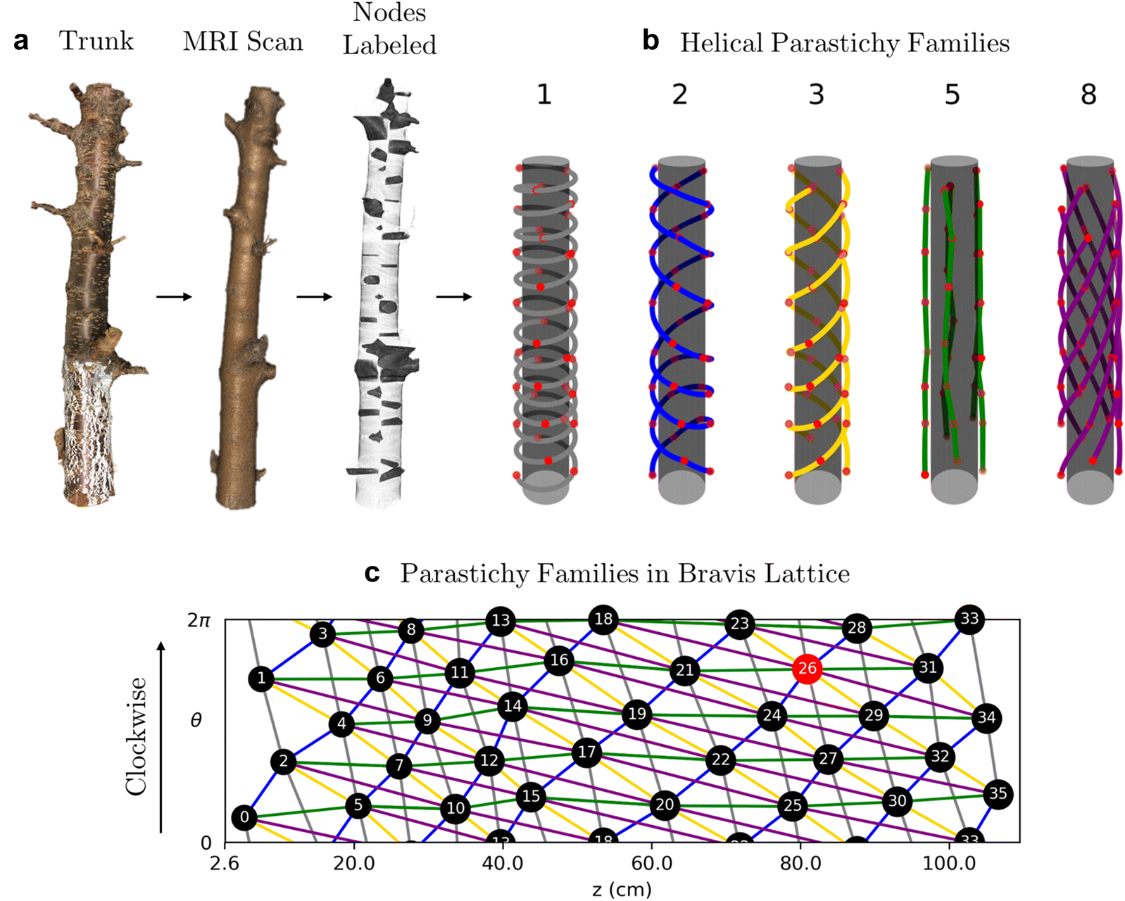 Fig. 8