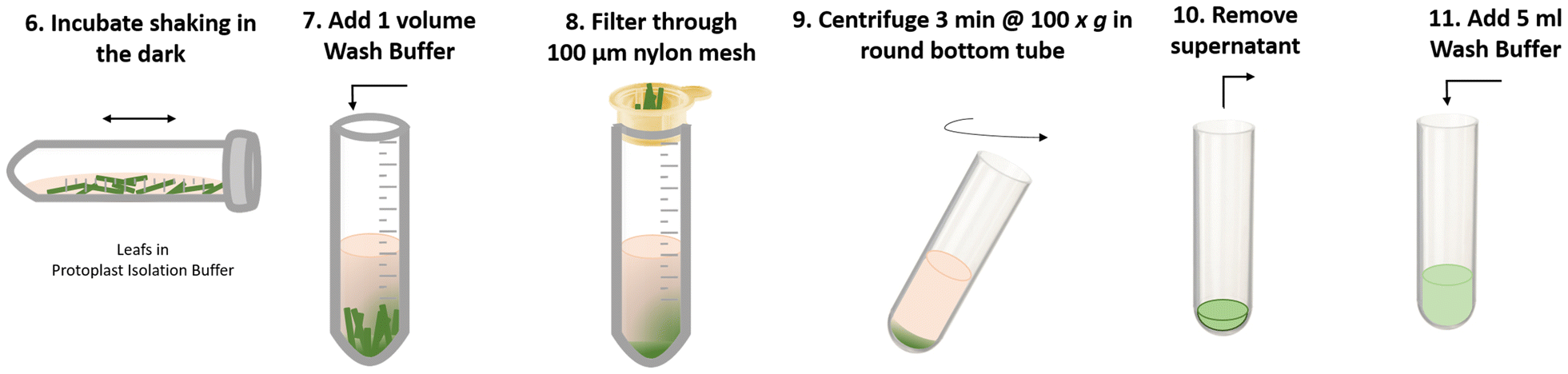 Fig. 6