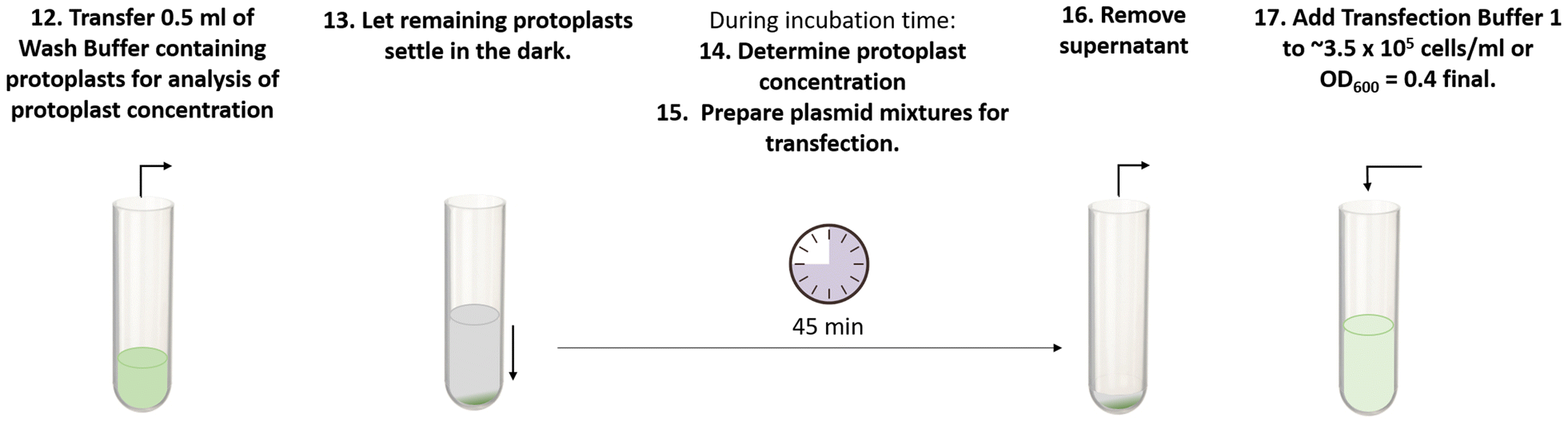 Fig. 7