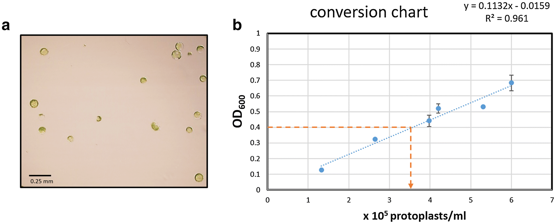 Fig. 8