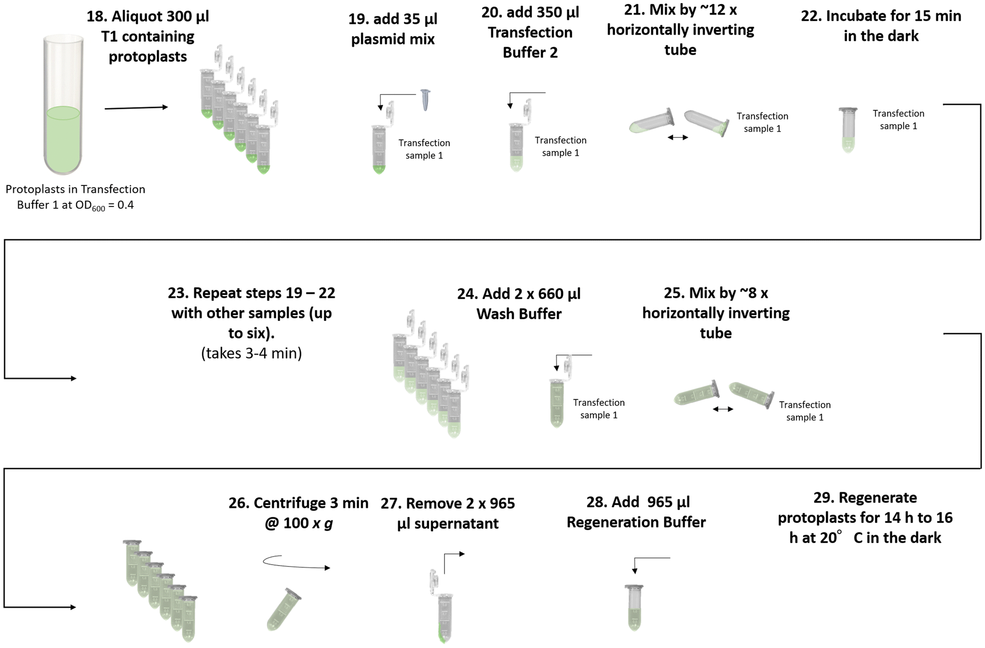 Fig. 9