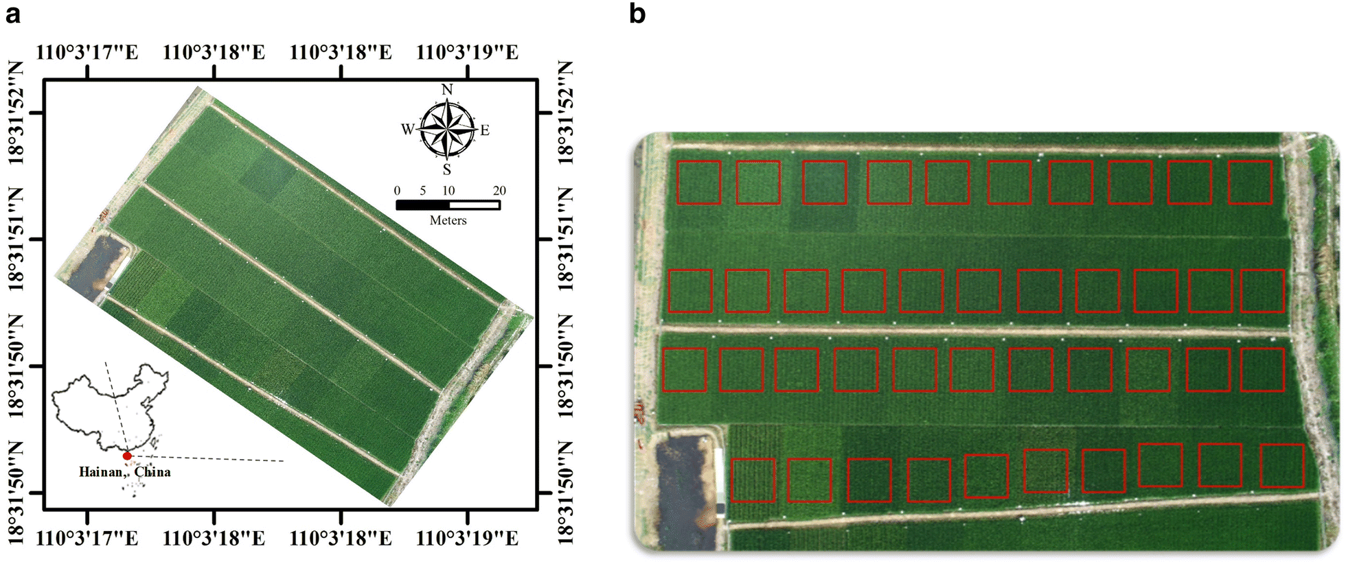 Fig. 1