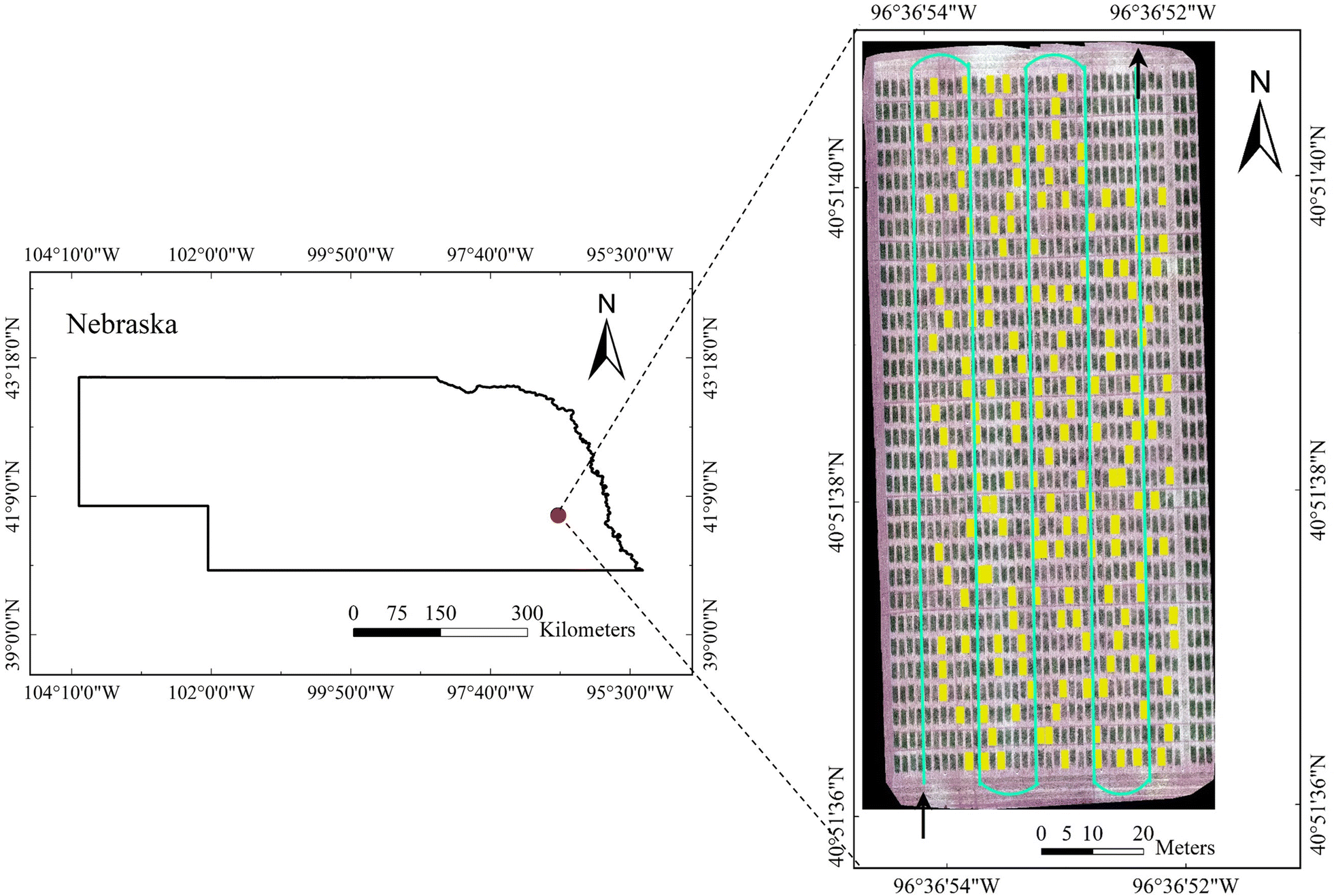 Fig. 1