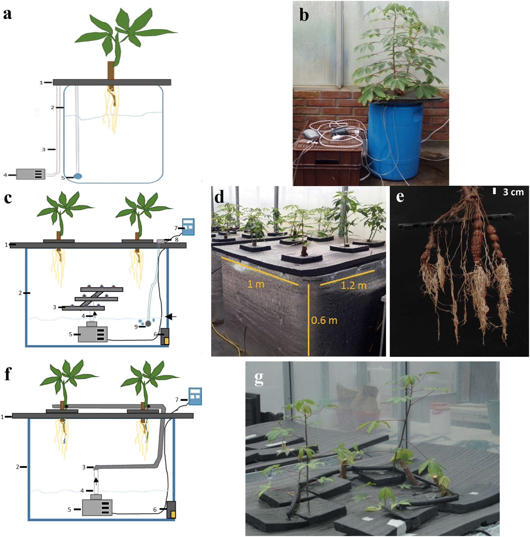 Fig. 1