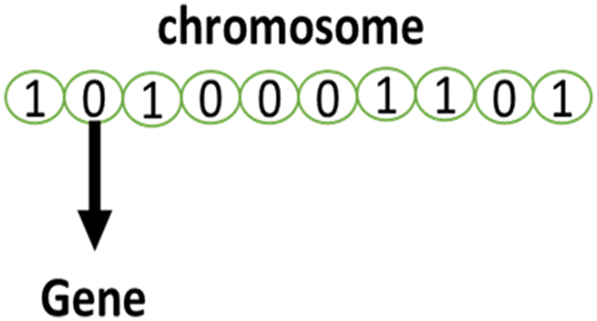 Fig. 3