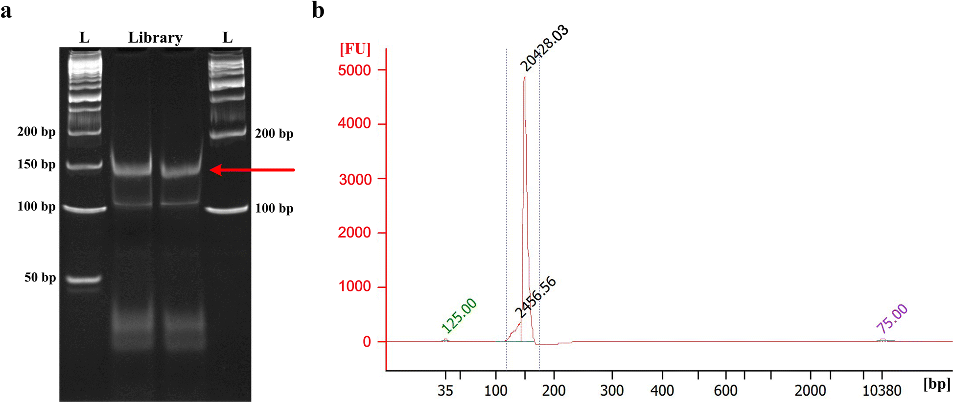 Fig. 3