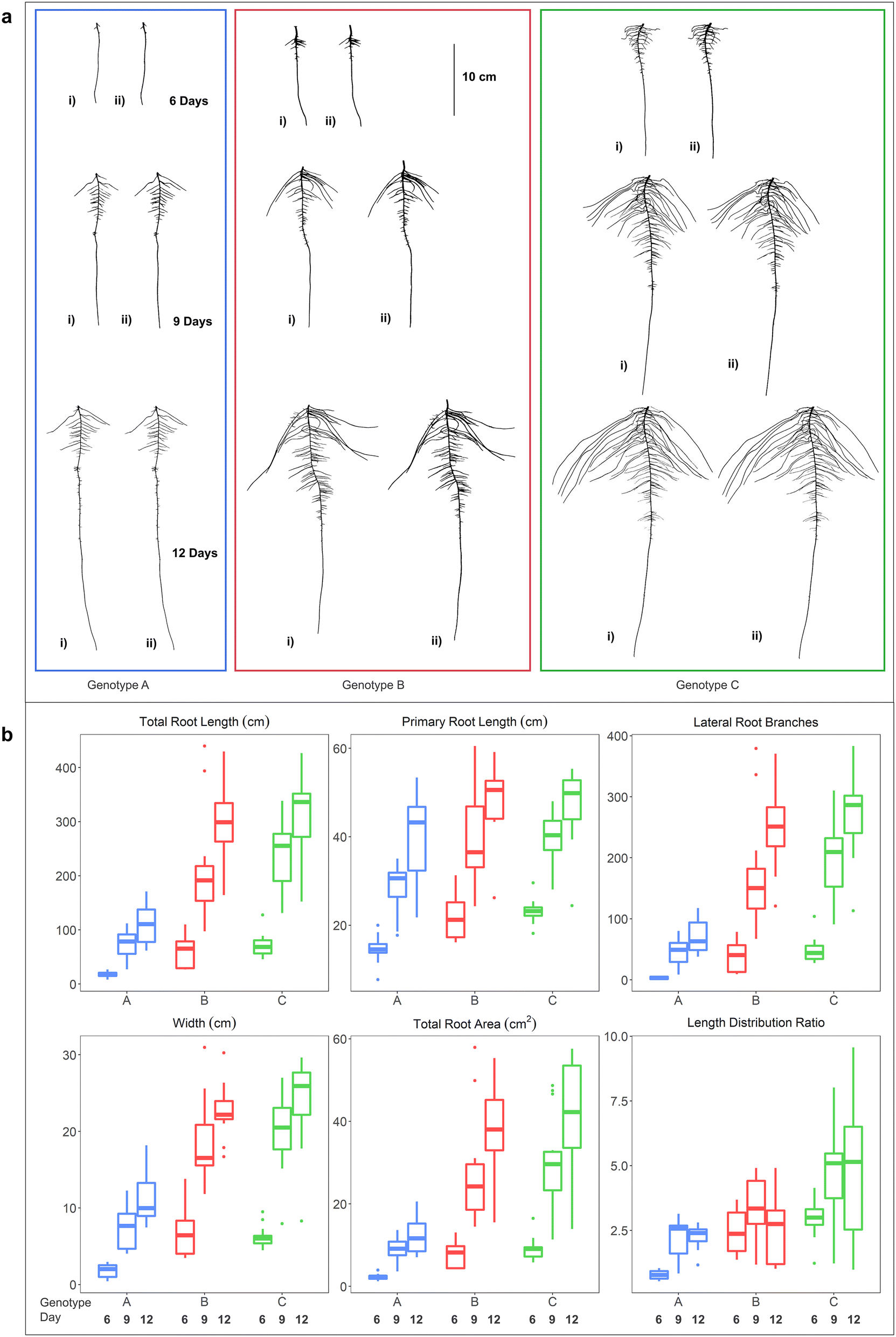 Fig. 6