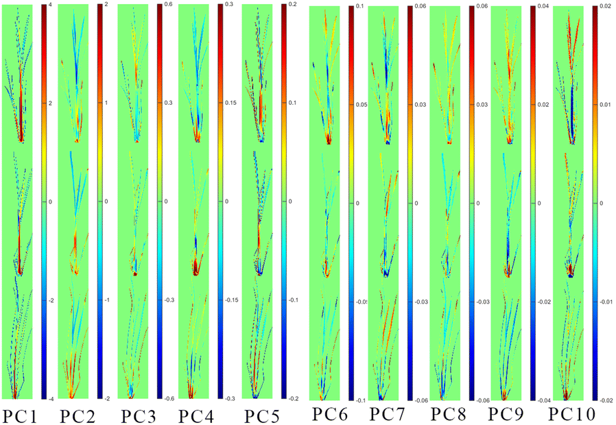 Fig. 6