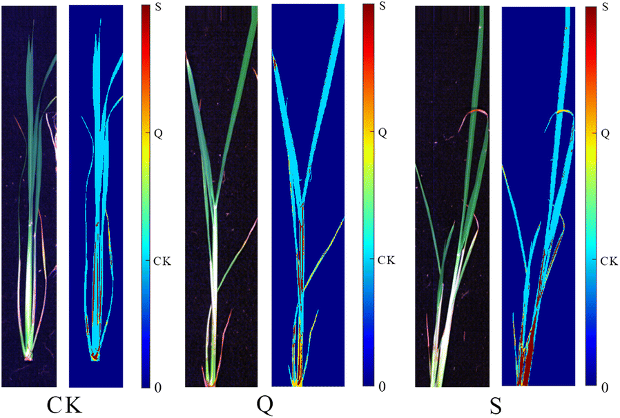 Fig. 9