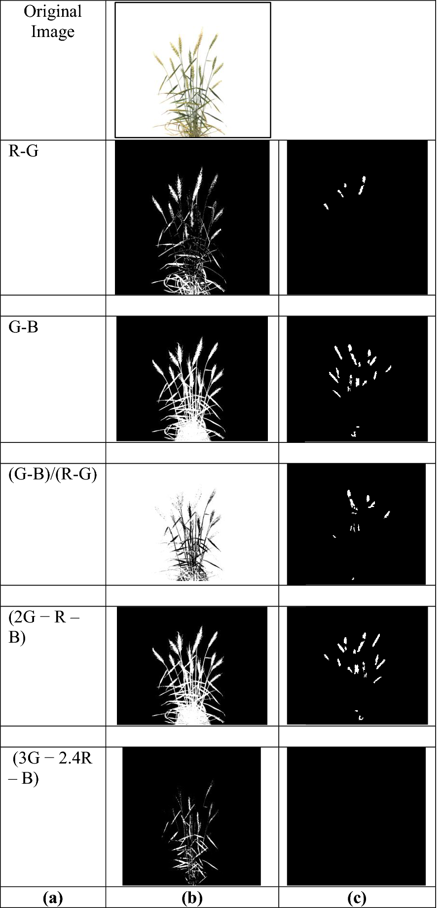 Fig. 10