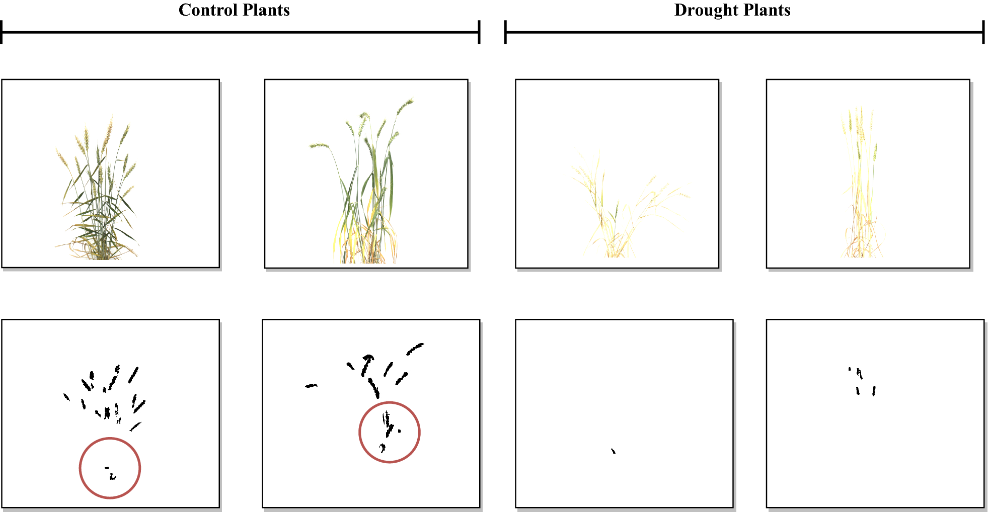 Fig. 11