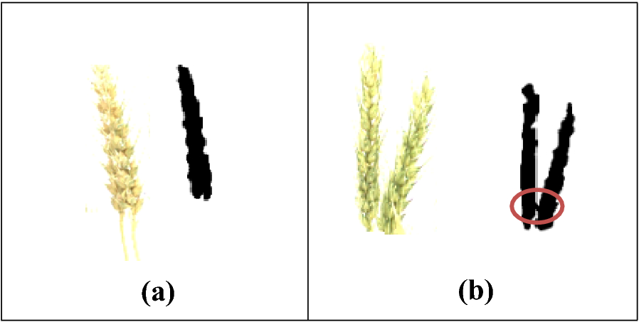 Fig. 15