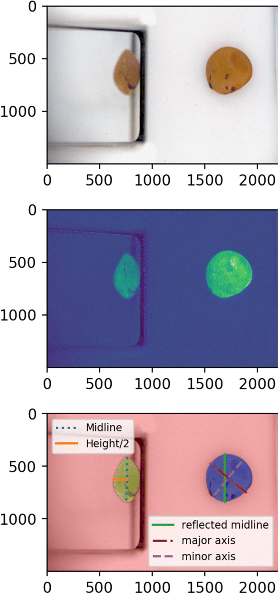 Fig. 10