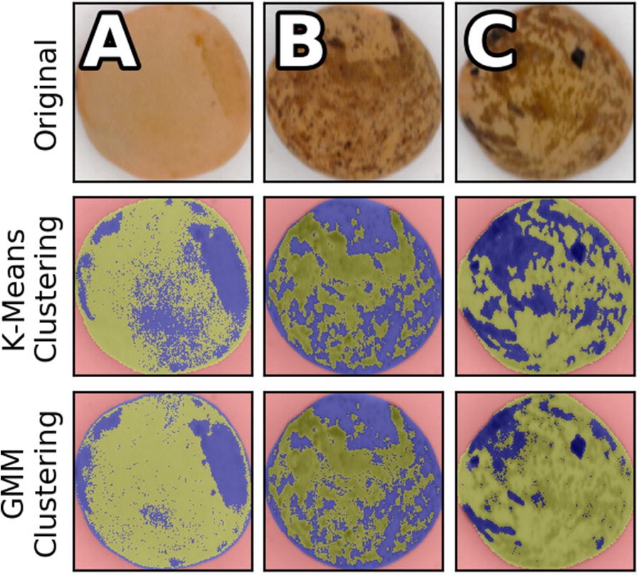 Fig. 8