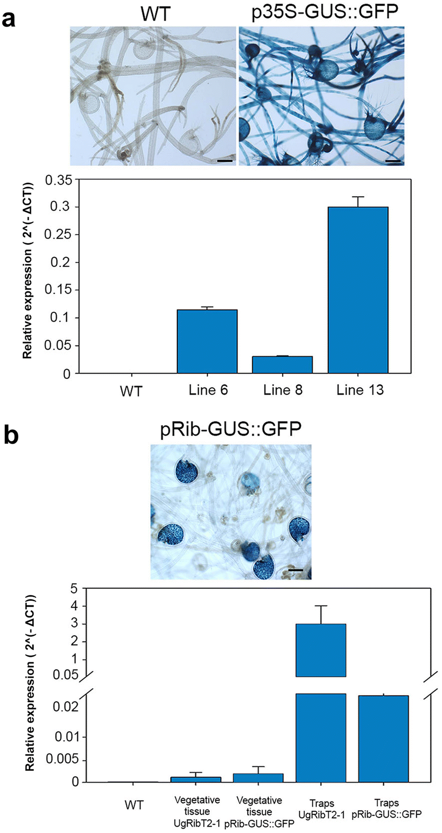 Fig. 5