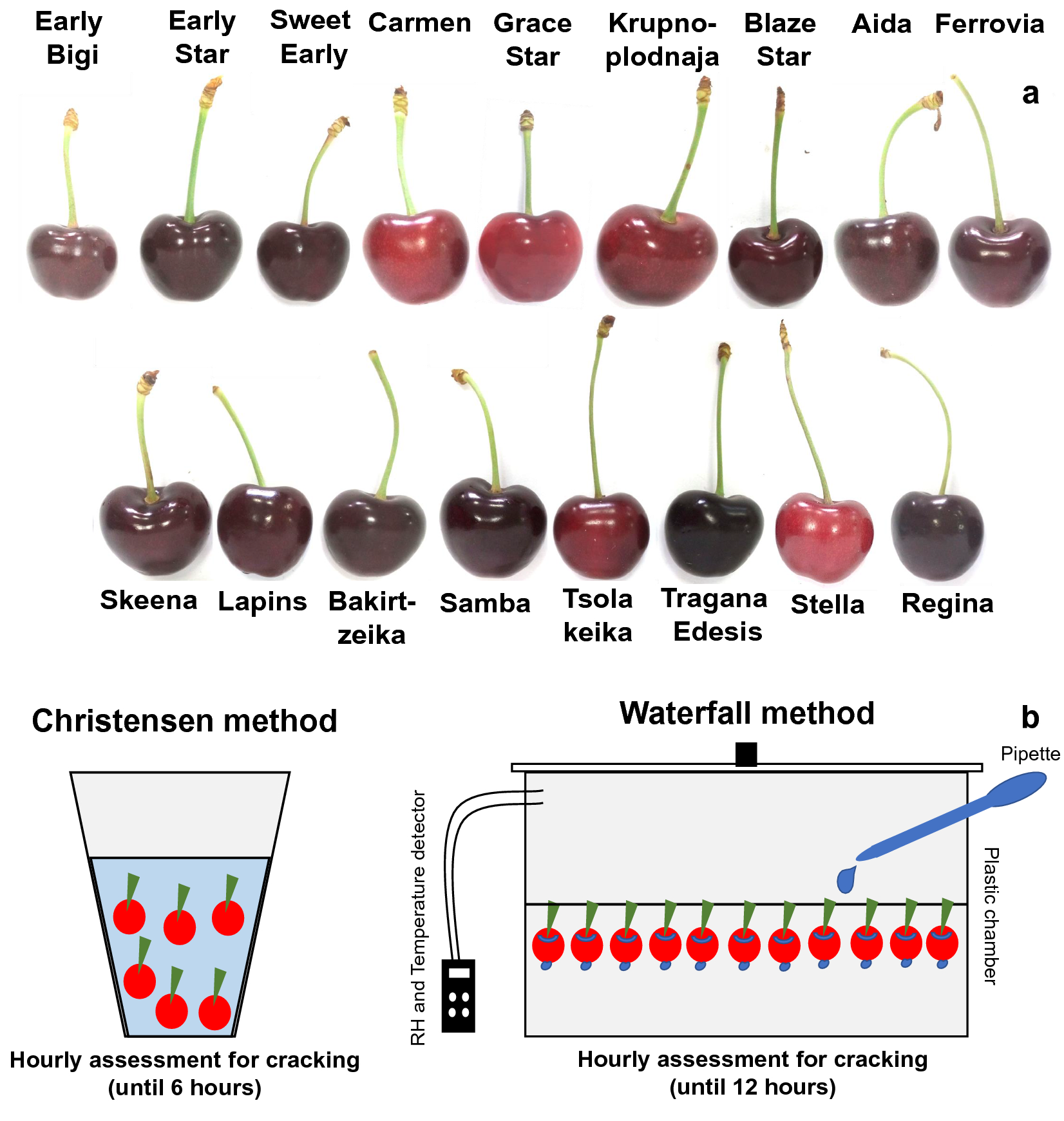 Fig. 1