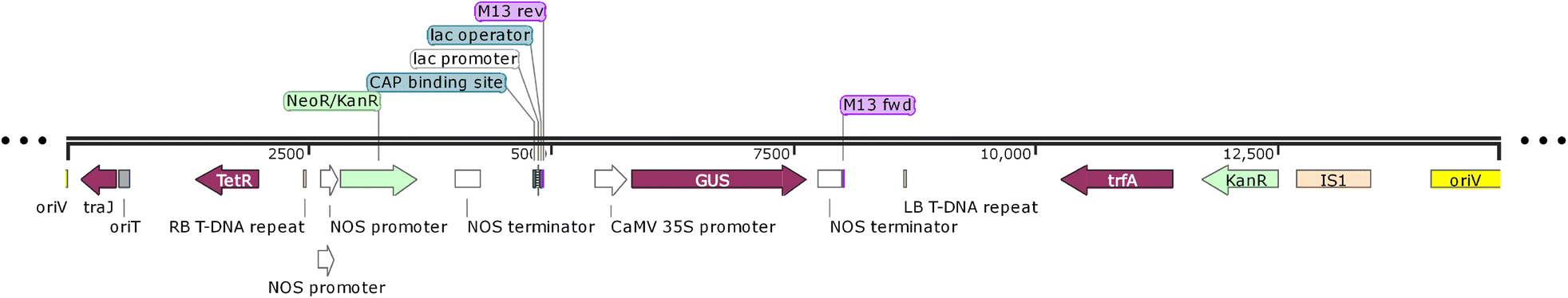 Fig. 1