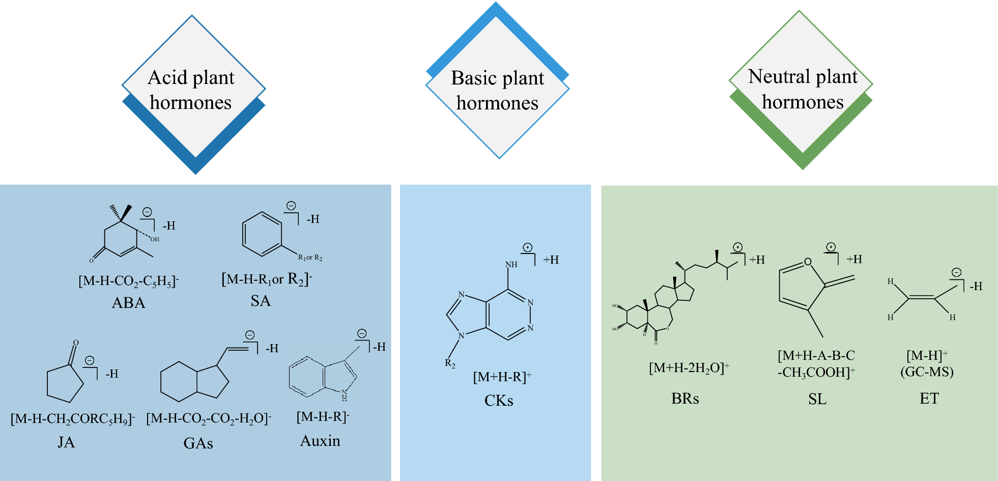 Fig. 2