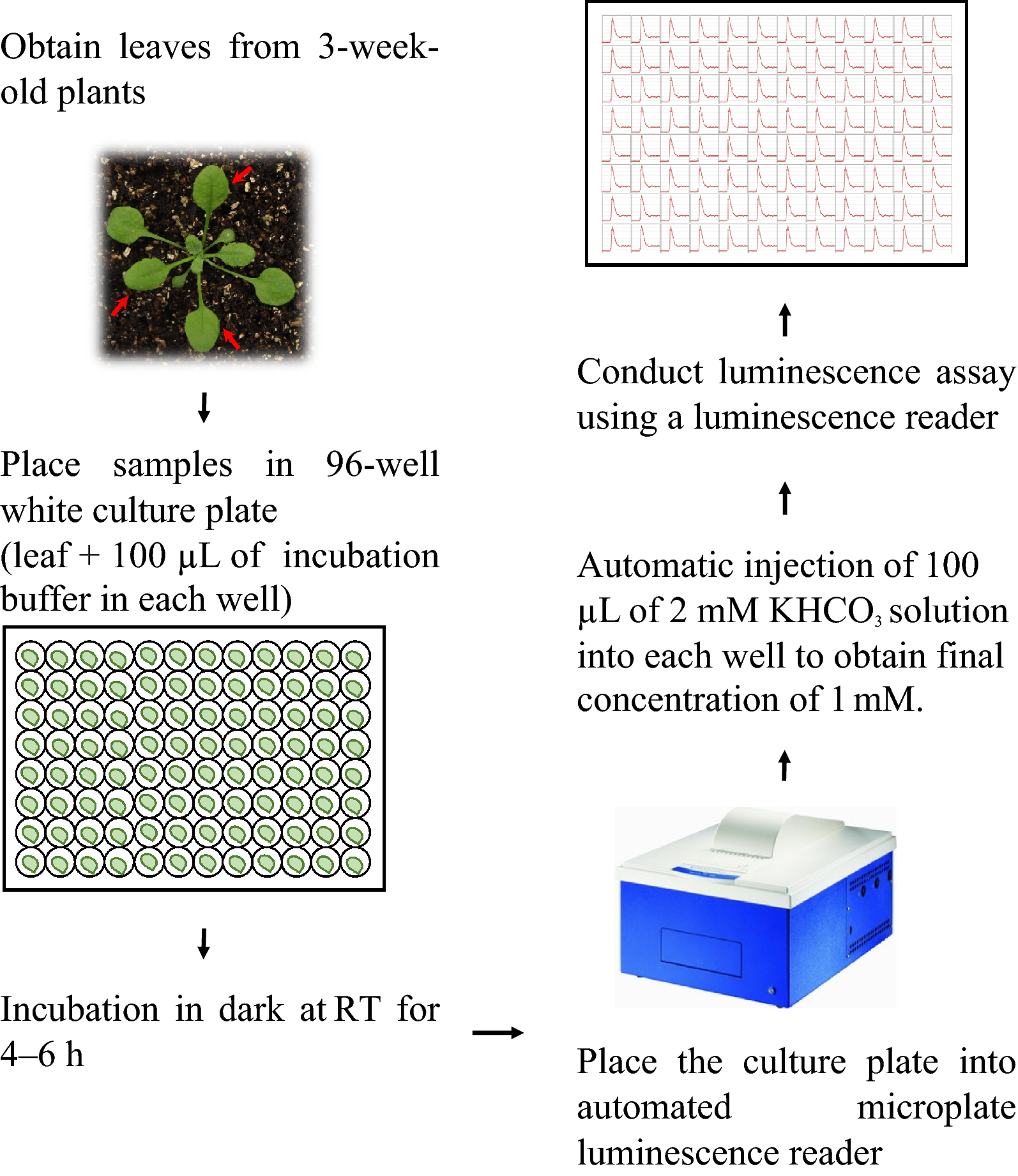 Fig. 3