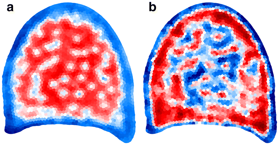 Fig. 9