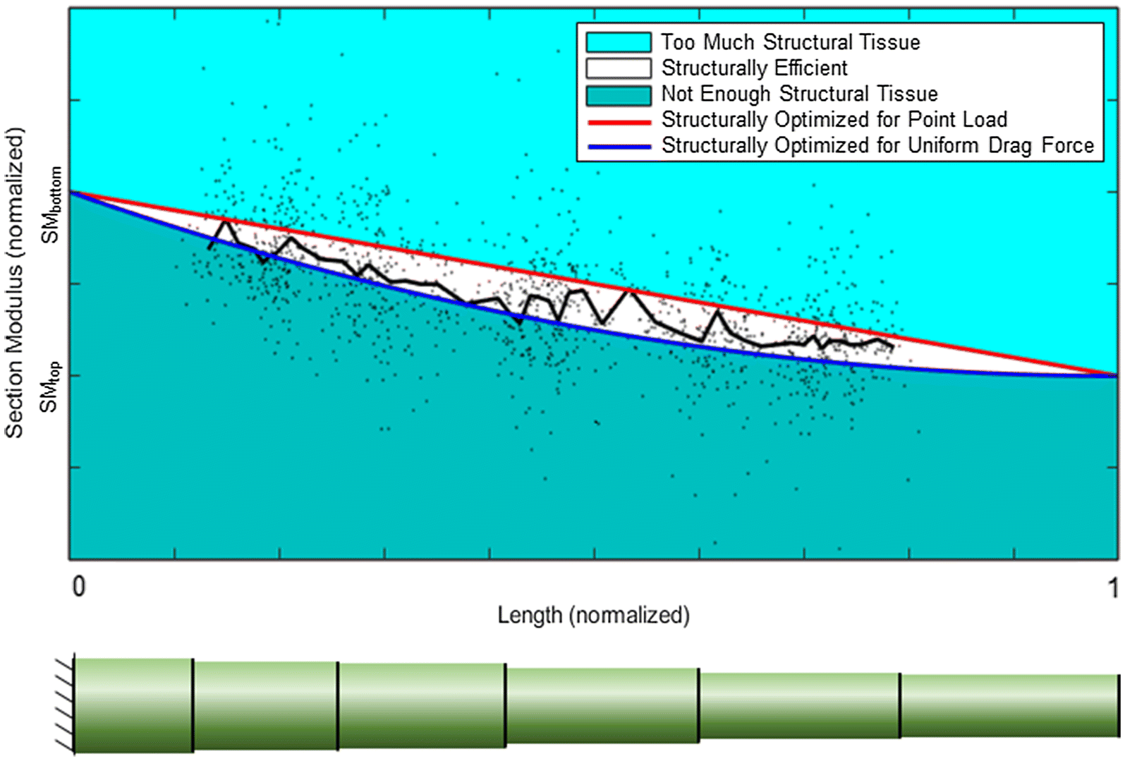 Fig. 6