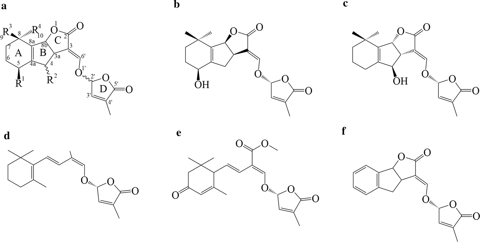 Fig. 1