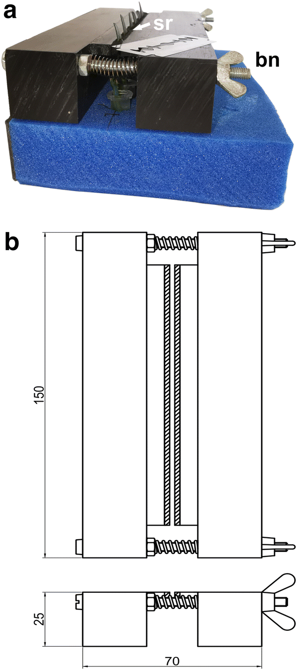 Fig. 3