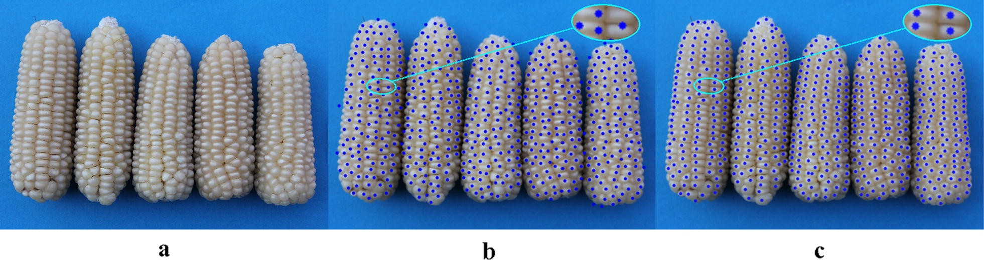 Fig. 17