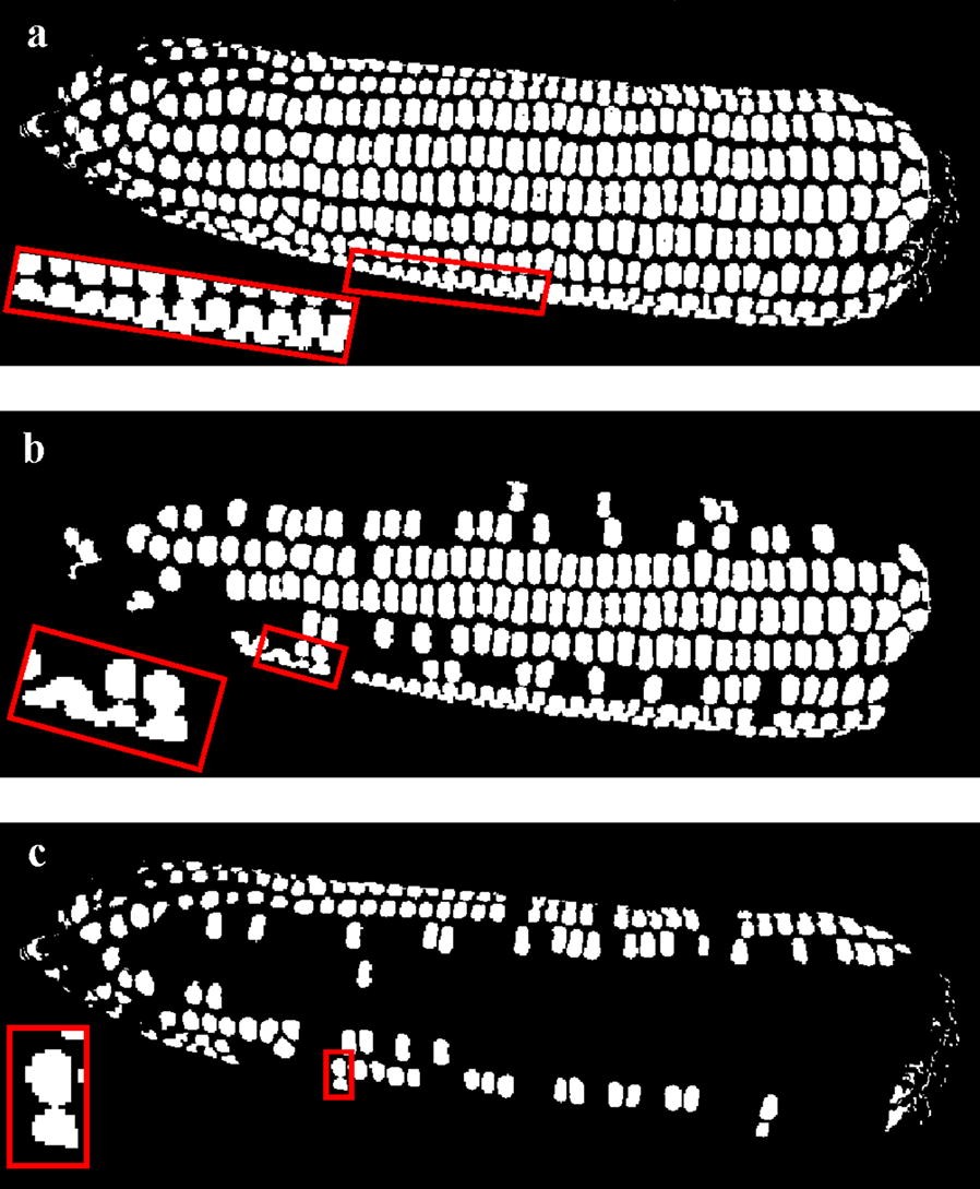 Fig. 22