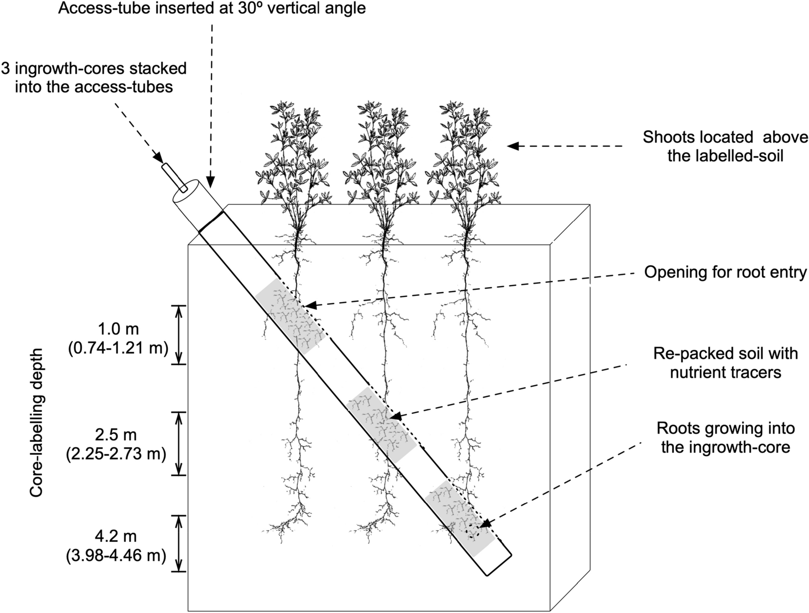 Fig. 3