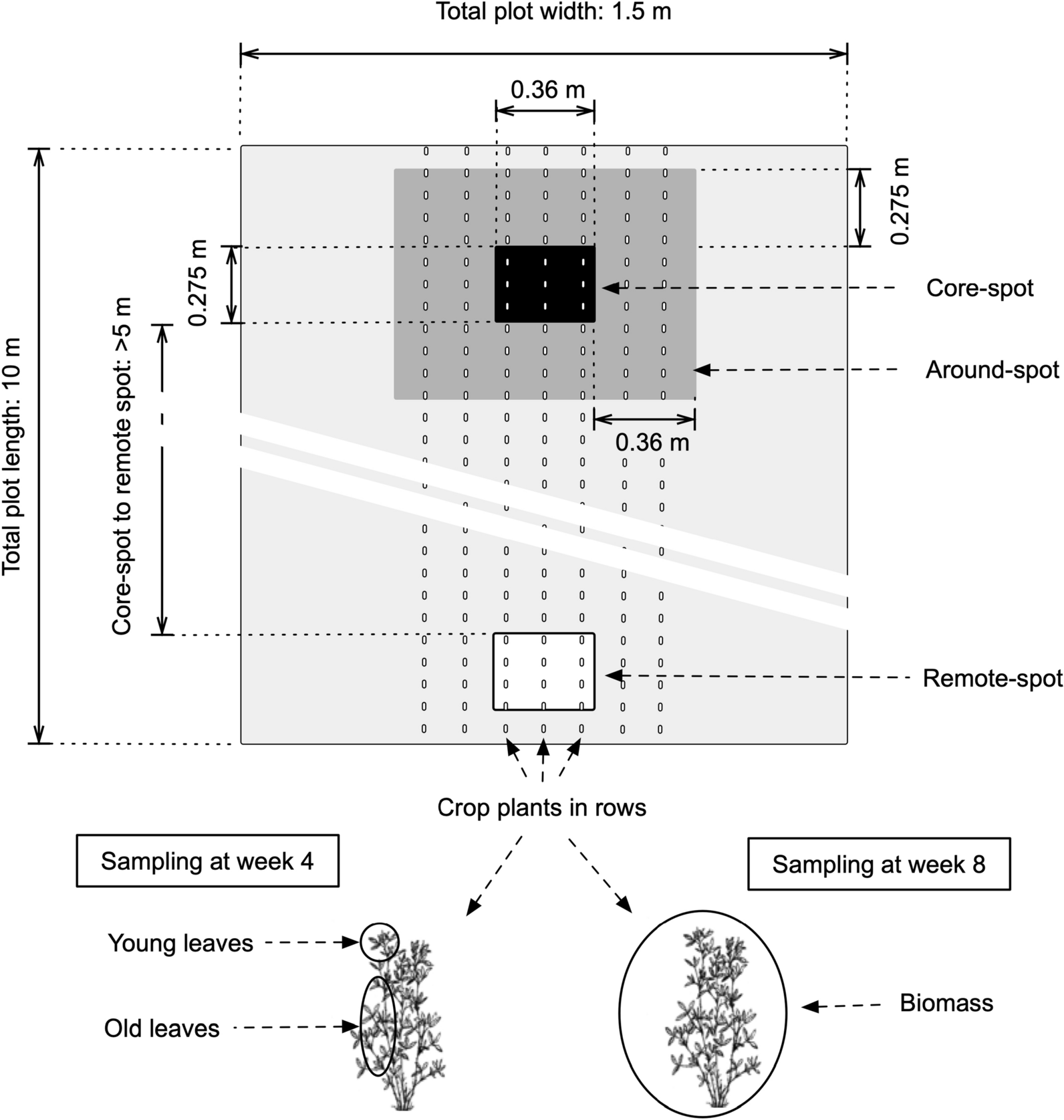 Fig. 4