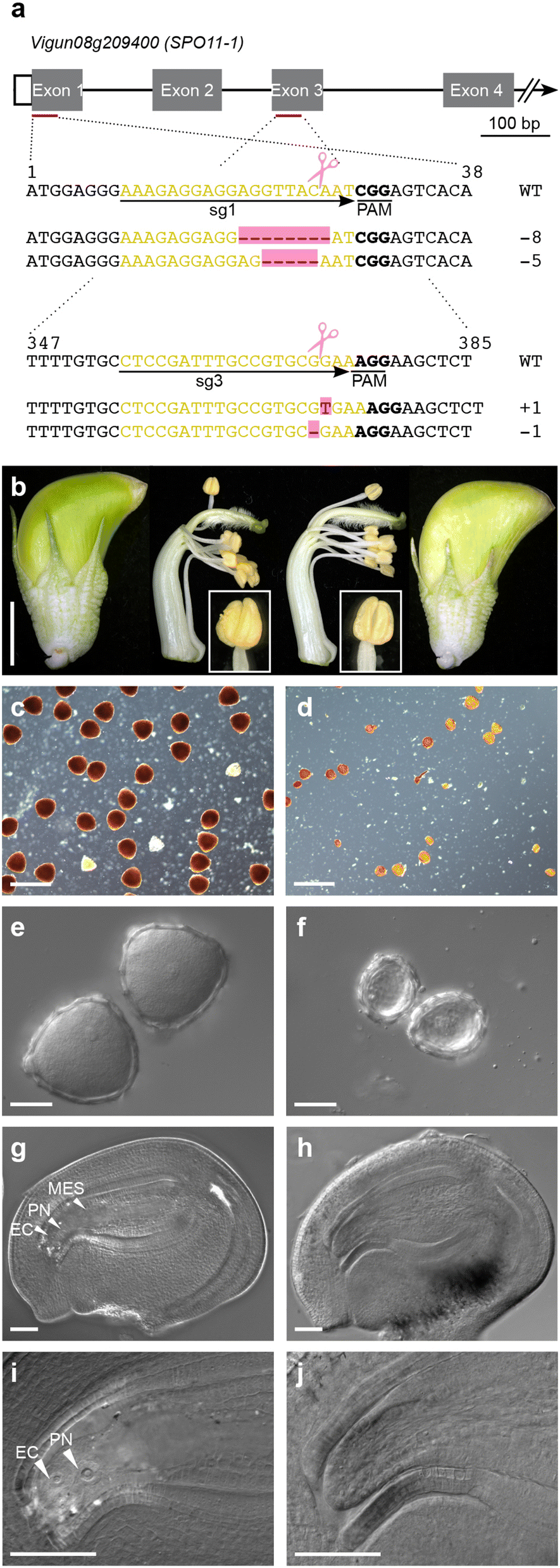 Fig. 4