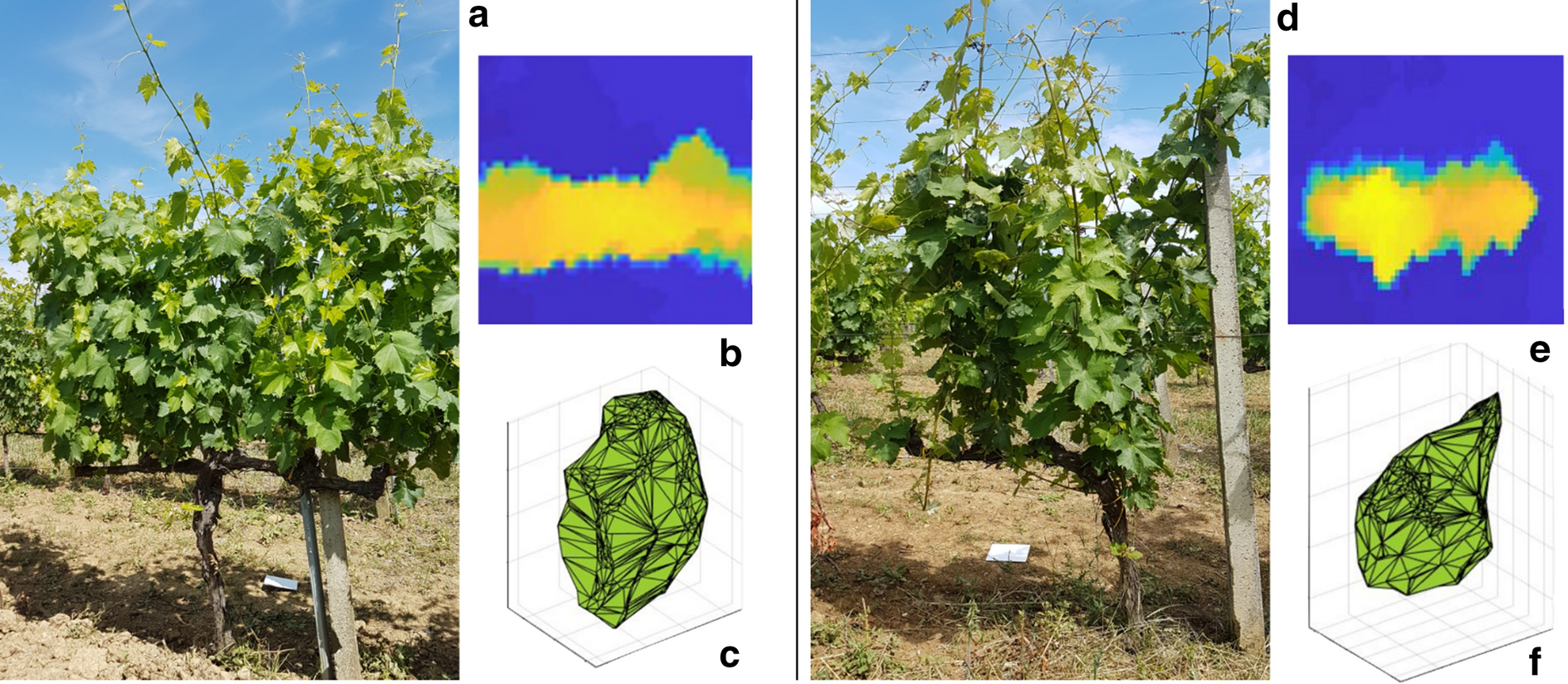 Fig. 1