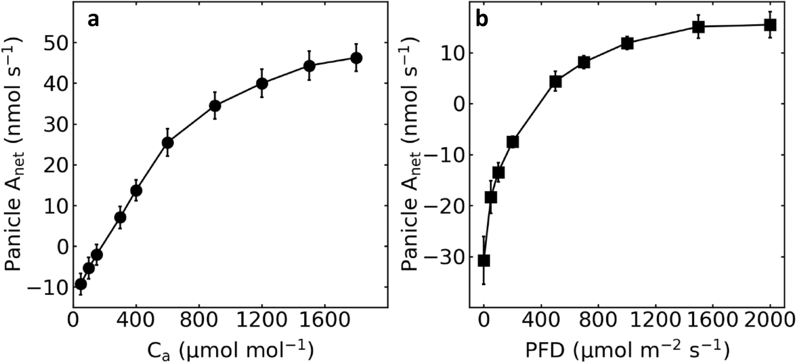 Fig. 6