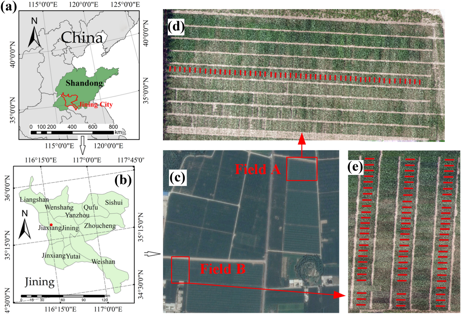 Fig. 1