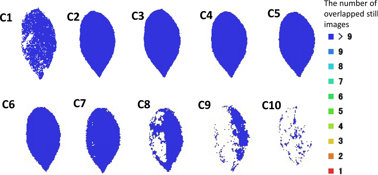 Fig. 11