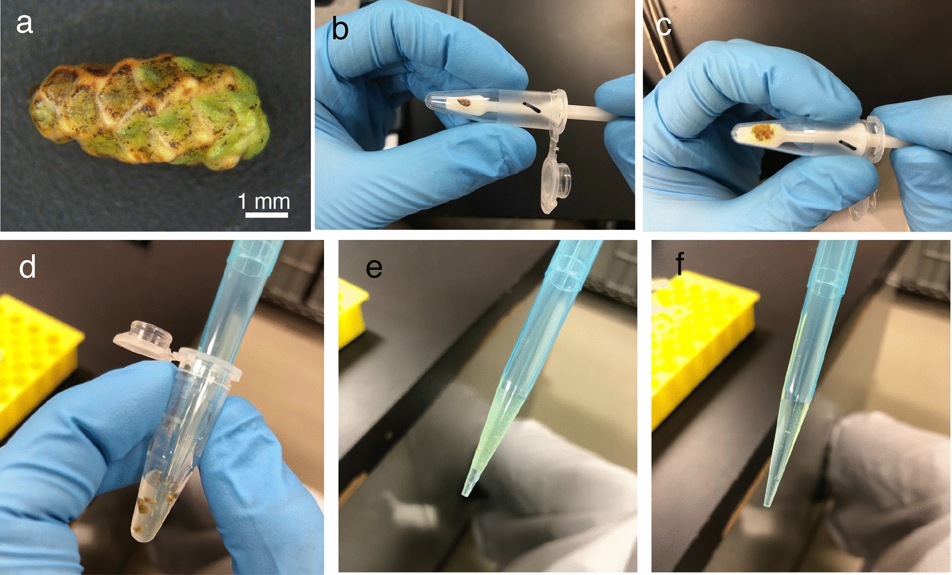 Fig. 3