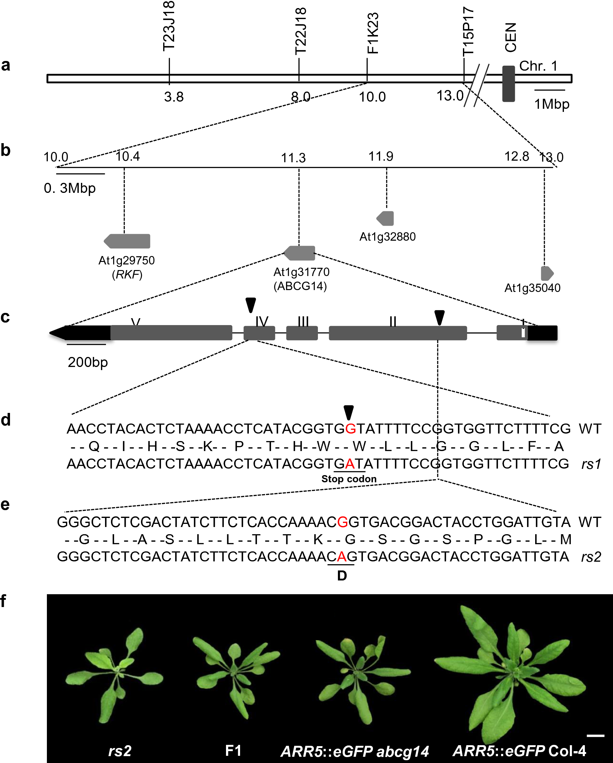 Fig. 7