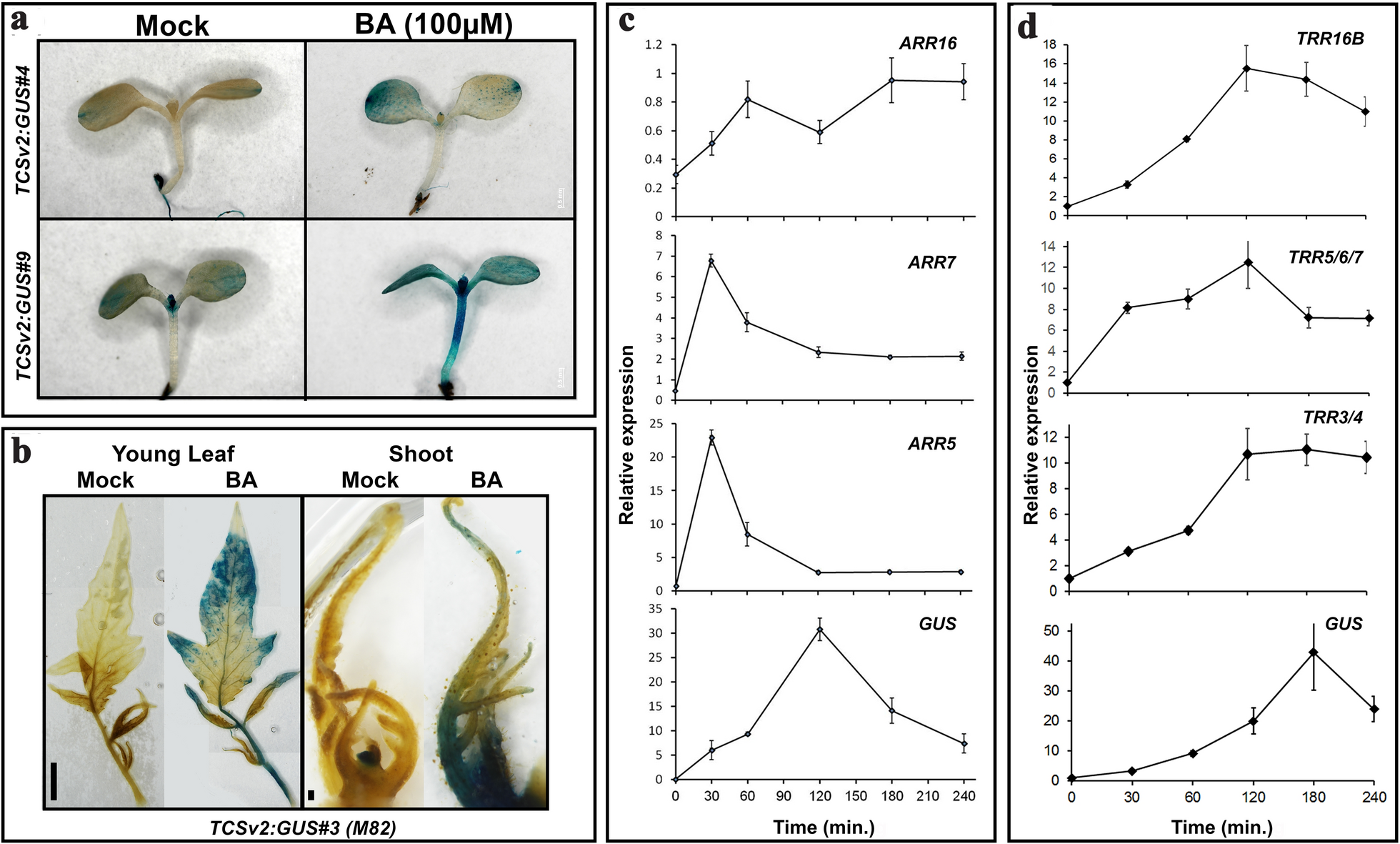 Fig. 3