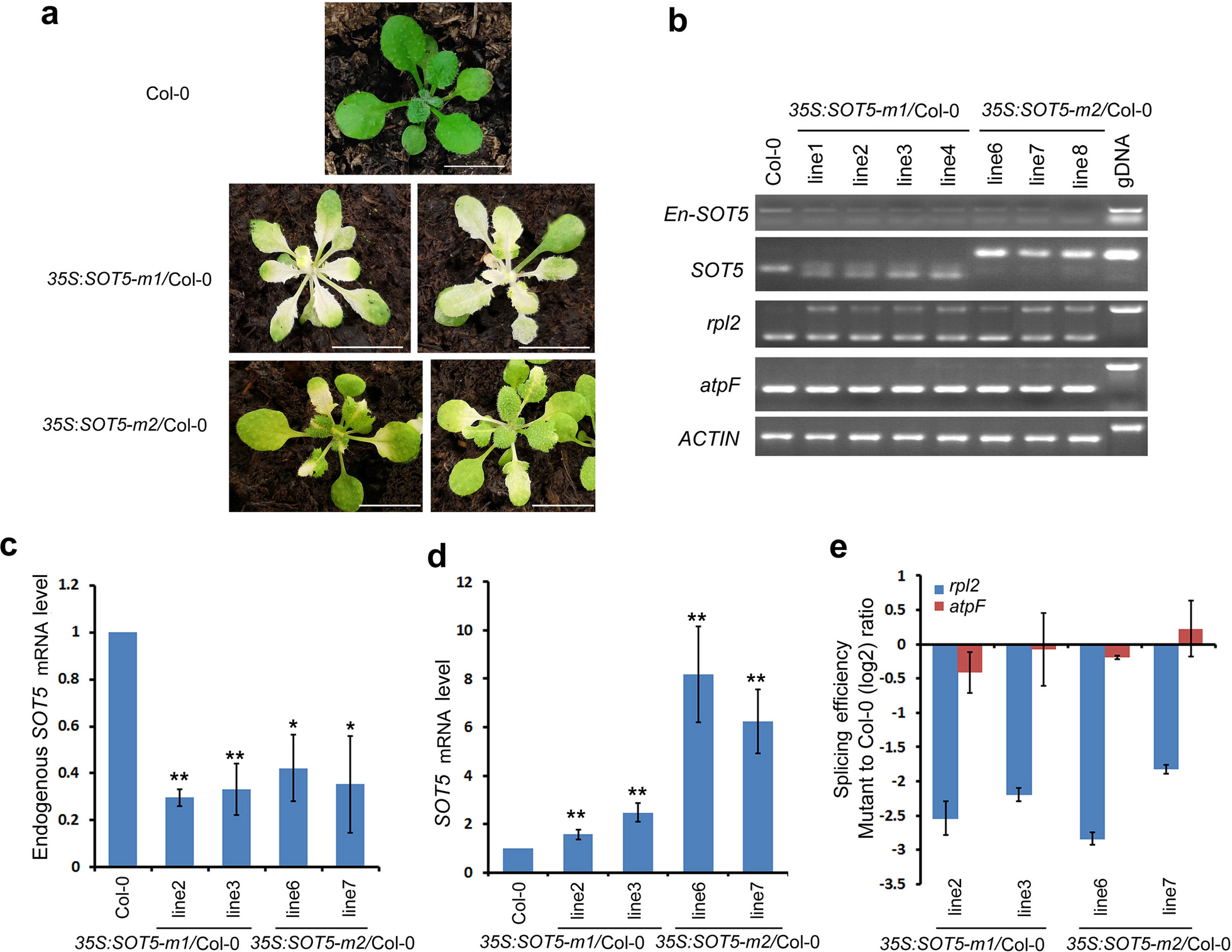 Fig. 2