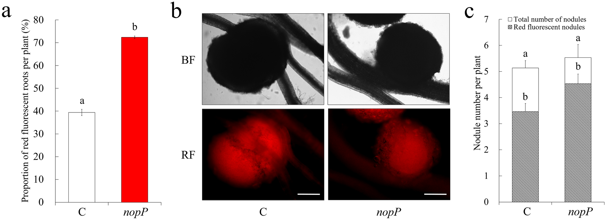 Fig. 5