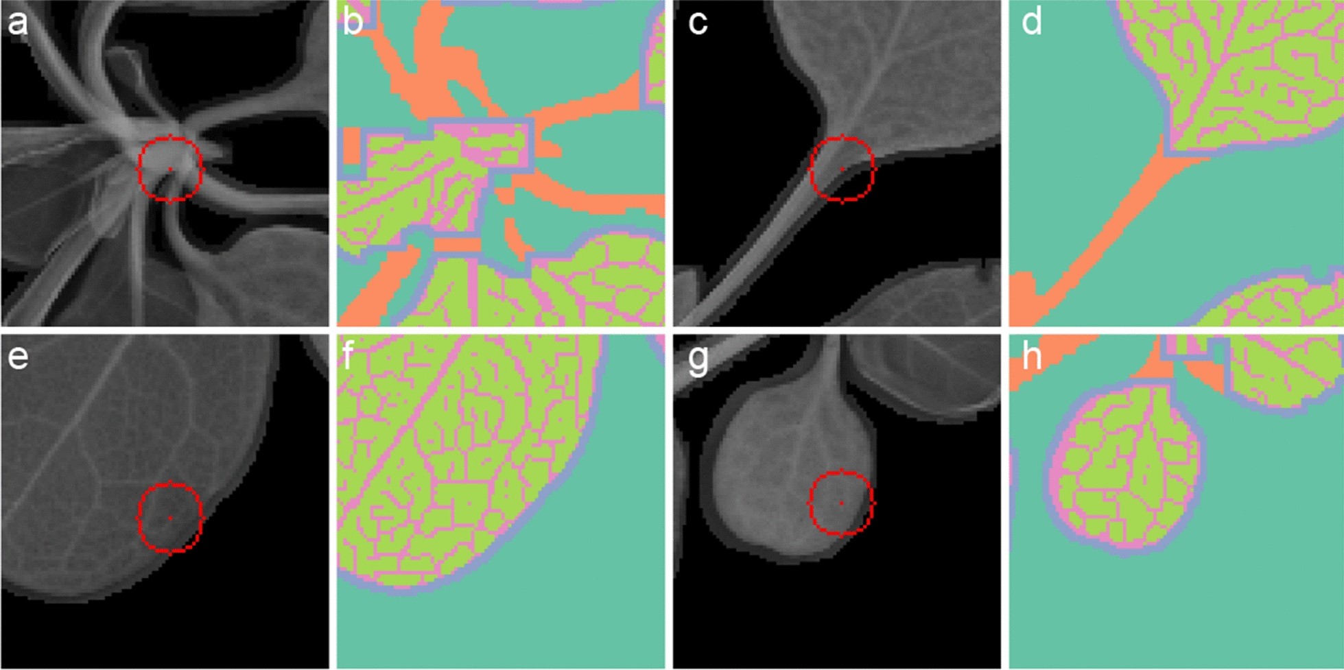 Fig. 4