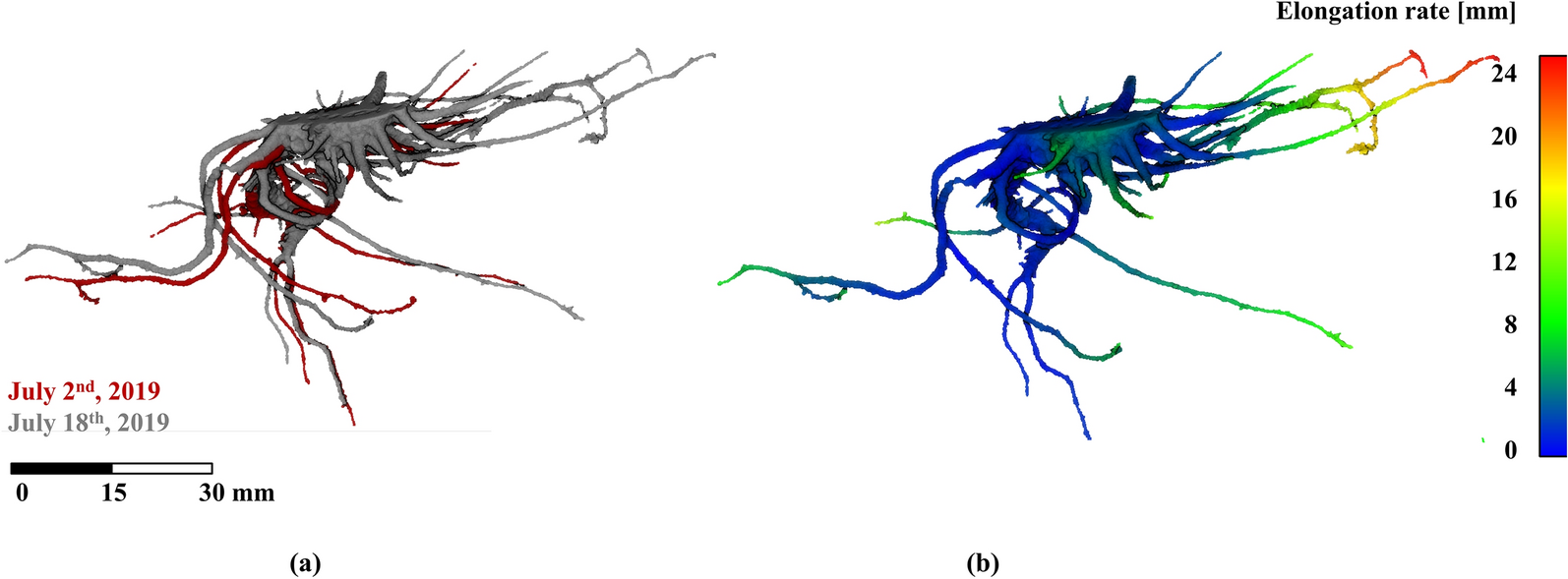 Fig. 7