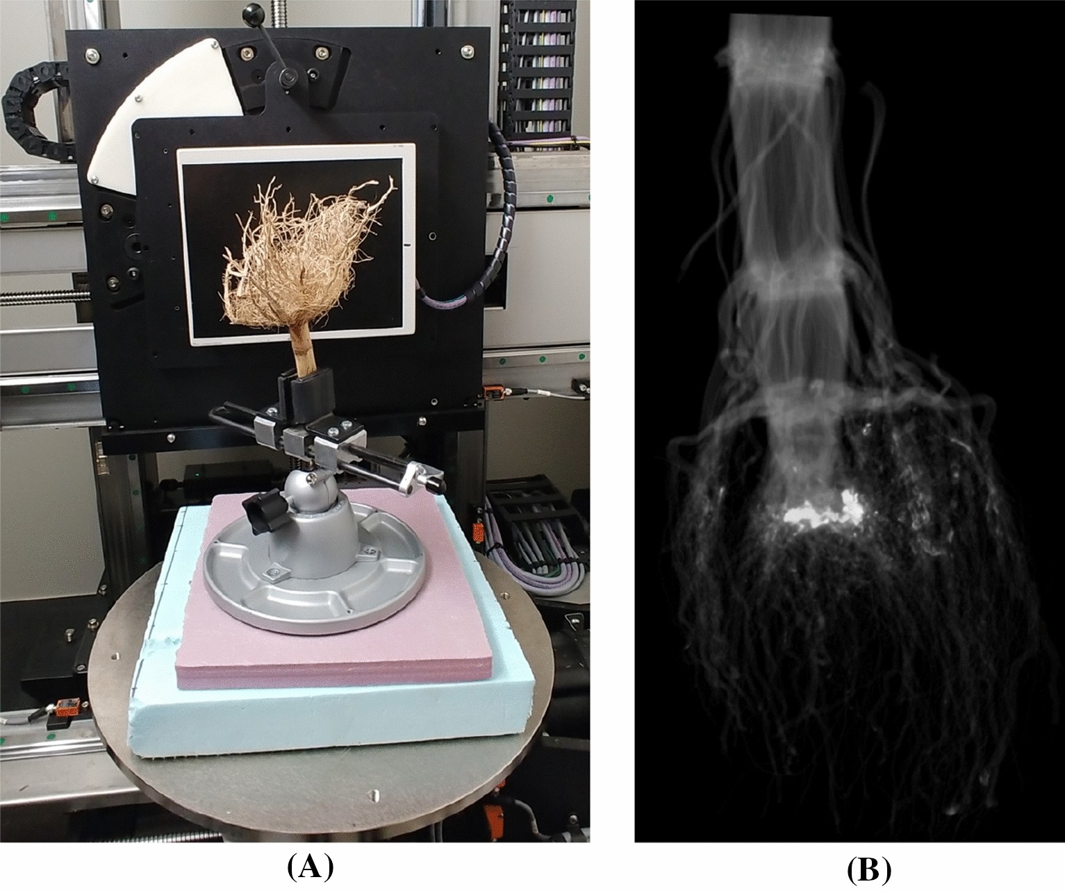 Fig. 7