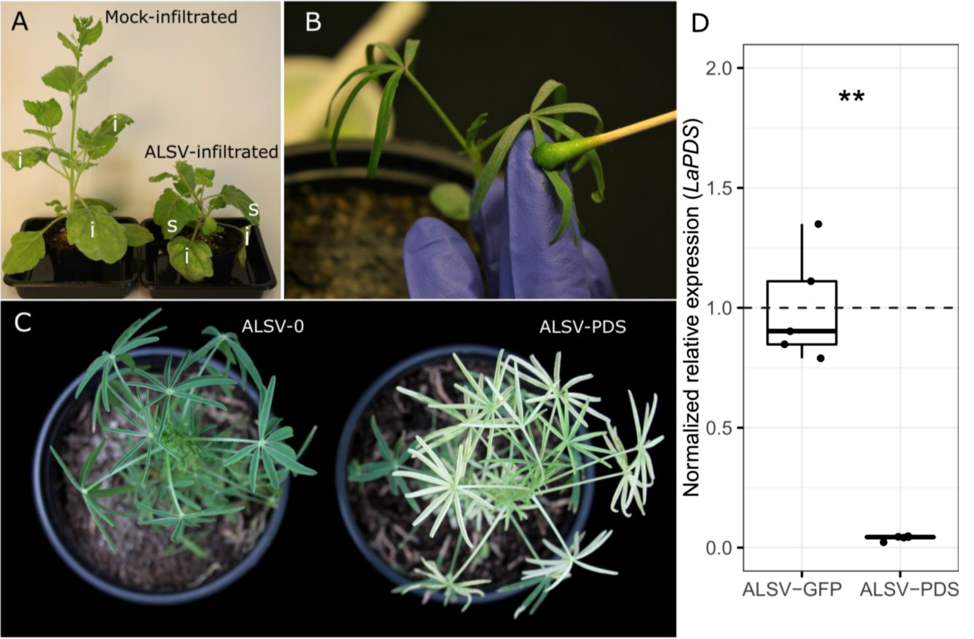 Fig. 2