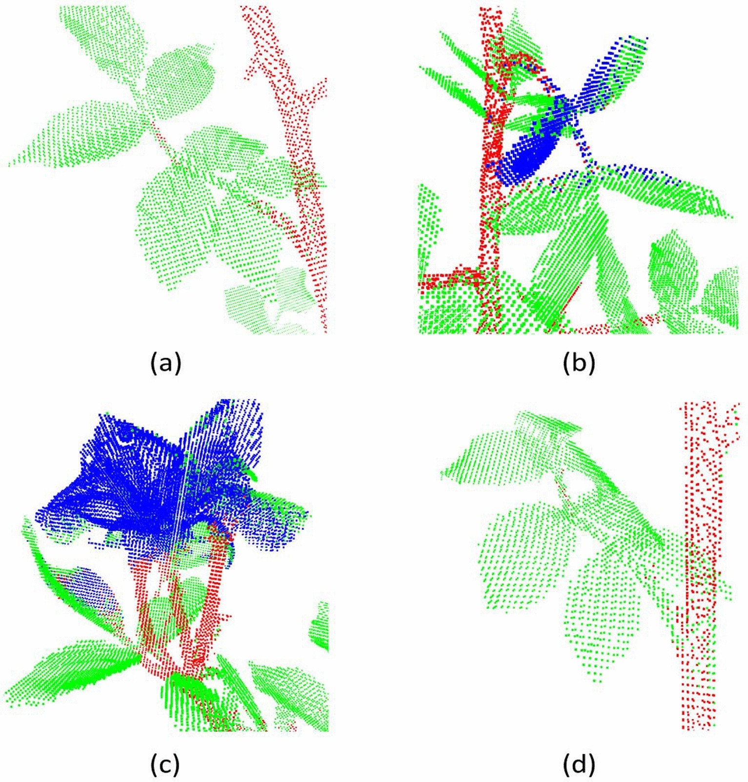 Fig. 12