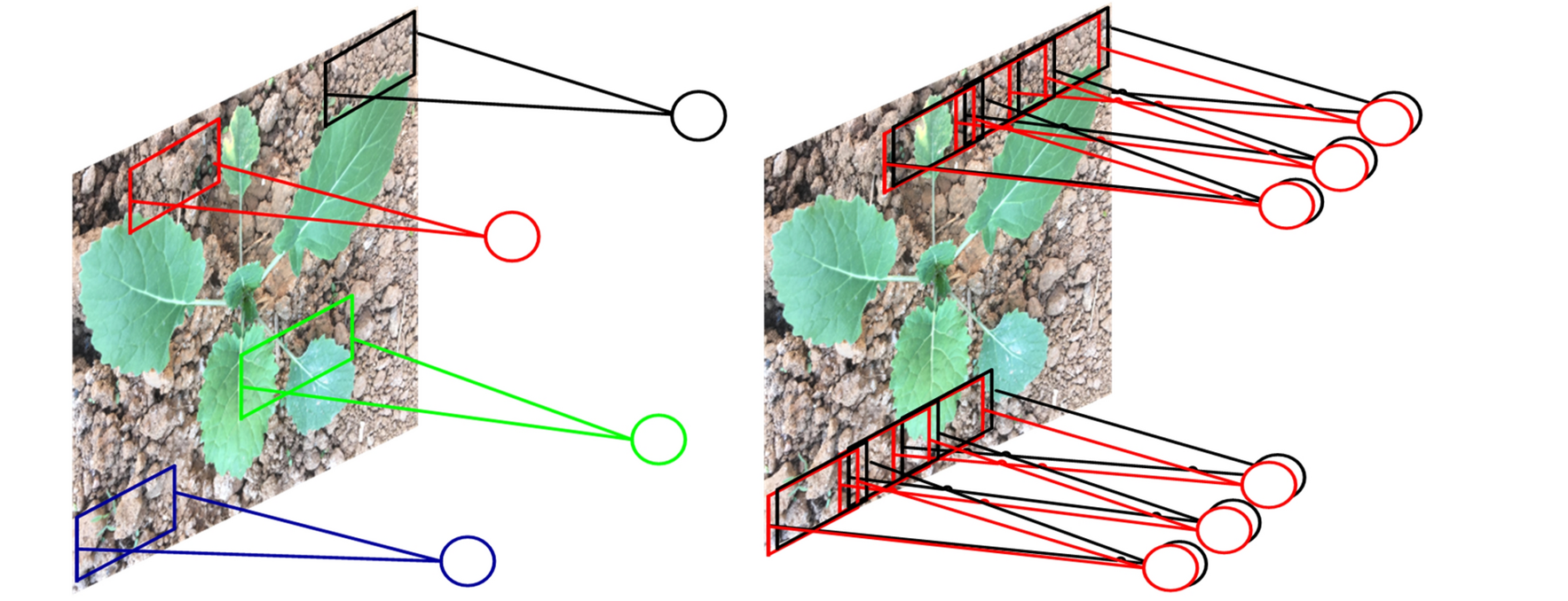 Fig. 7